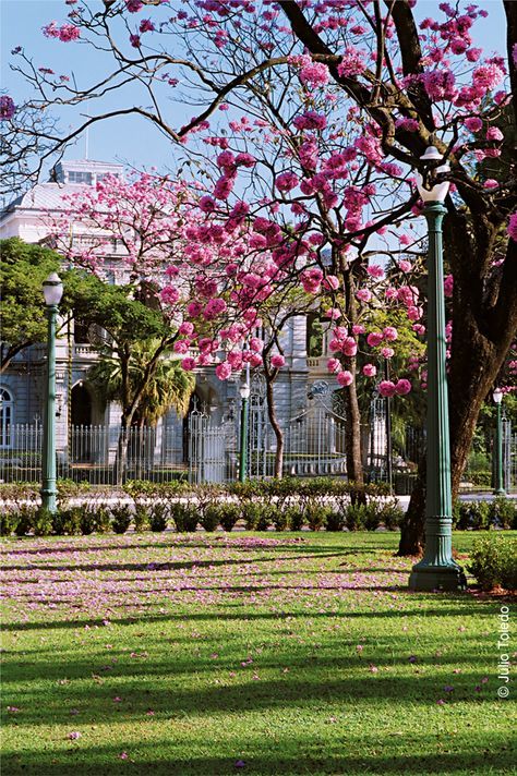 Lugar Praça da Liberdade