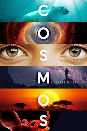 Serie Cosmos: Una odisea en el espacio-tiempo