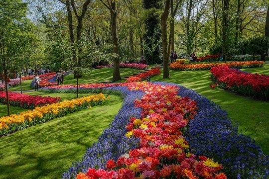 Place Keukenhof