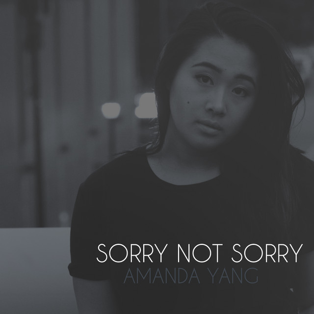 Music Sorry Not Sorry