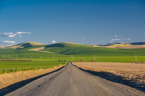 Blue Road