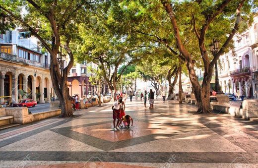 Lugar Paseo del Prado