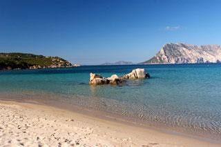 Lugar Le Farfalle - Cala Suaraccia