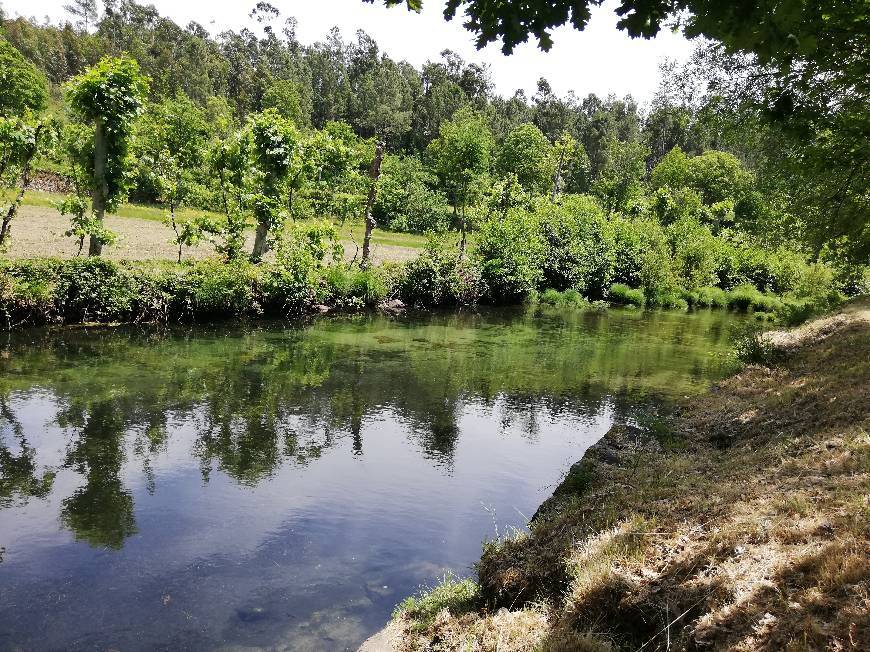 Lugar River St. Nicholas beach