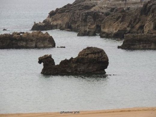 Playa del Camello