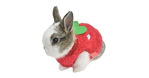 FLAdorepet Winter Warm Bunny Rabbit Clothes Small Animal Chinchilla Ferret Costume Outfits