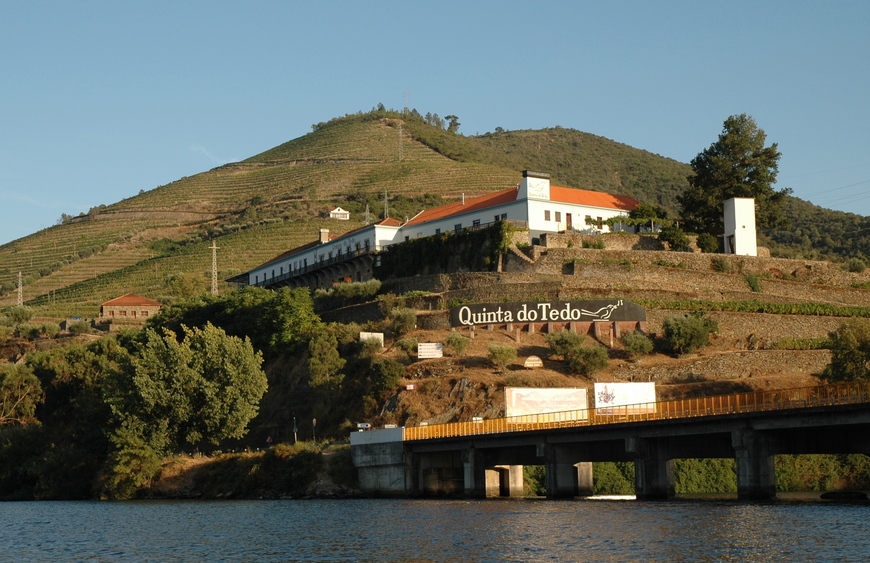 Place Quinta do Tedo