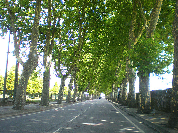 Place Avenida do Cabedelo