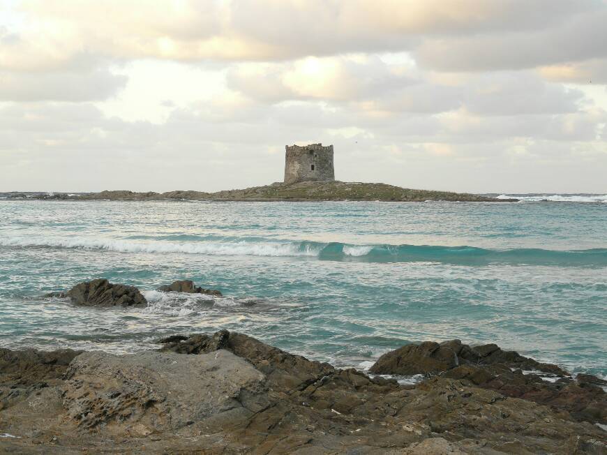 Lugar Playa Pelosa