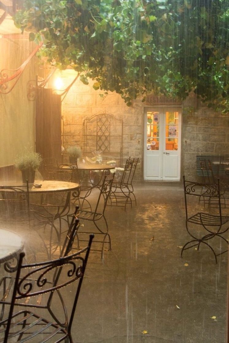 Moda Rainy restaurant 