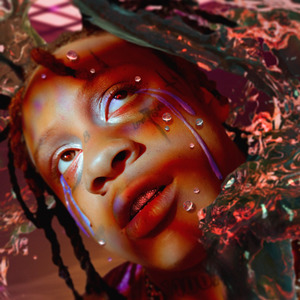 Album  "A love letter to you 4" Trippie Redd