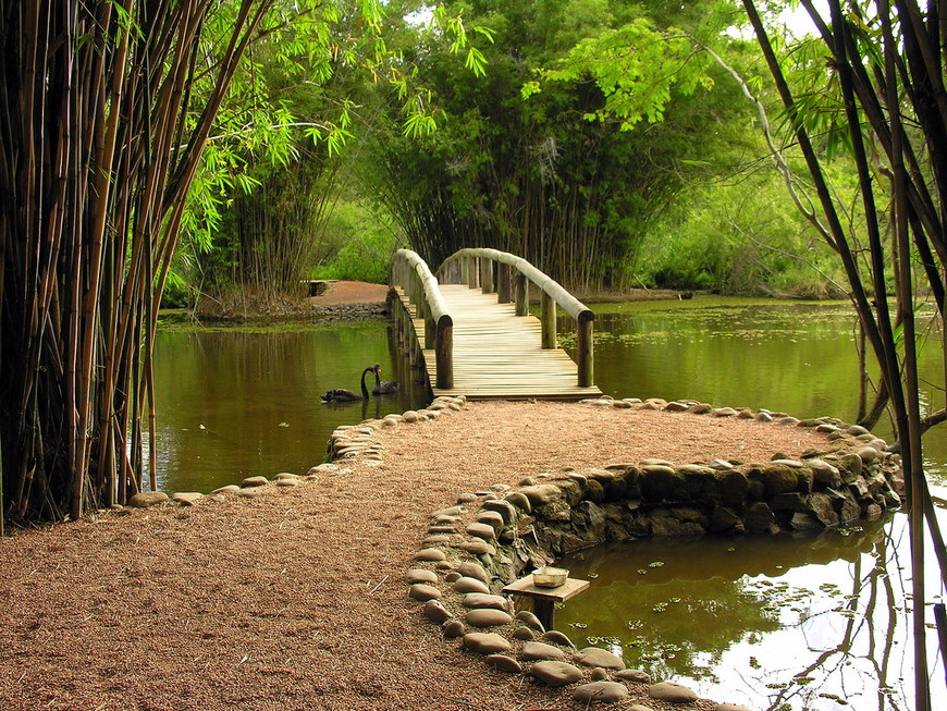 Lugar Jardim Botânico