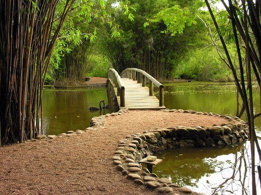 Jardim Botânico