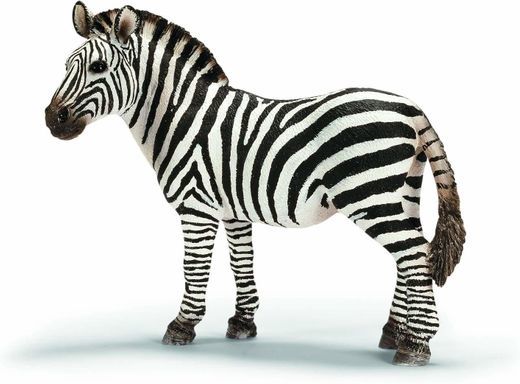 Fashion Zebra