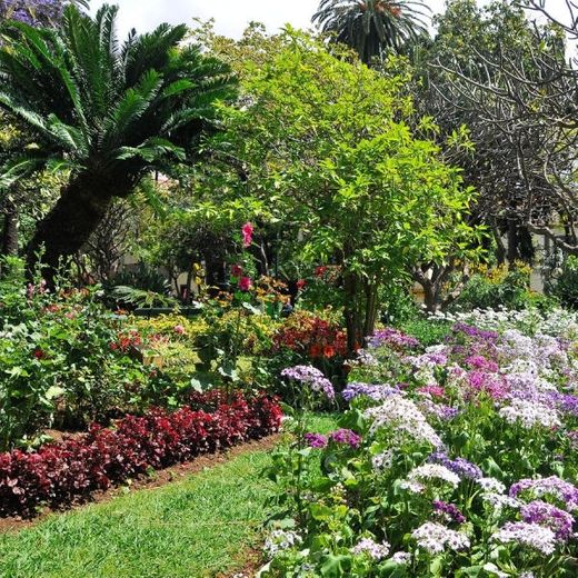 Jardim Municipal do Funchal - Visit Funchal