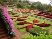 Jardim Botânico da Madeira - Engenheiro Rui Vieira