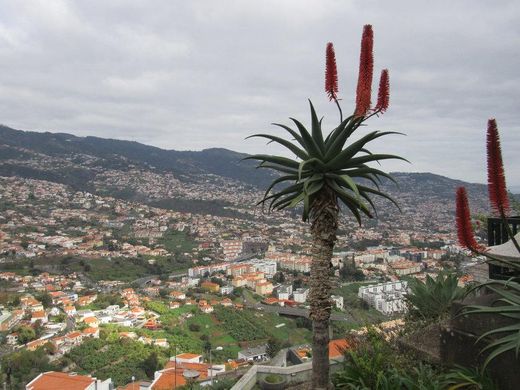Miradouro Pico Dos Barcelos (Funchal) - 2020 All You Need to ...