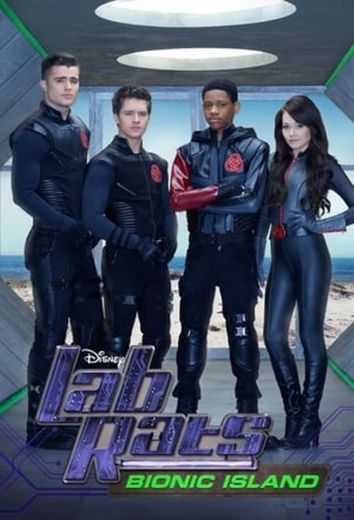 Lab Rats