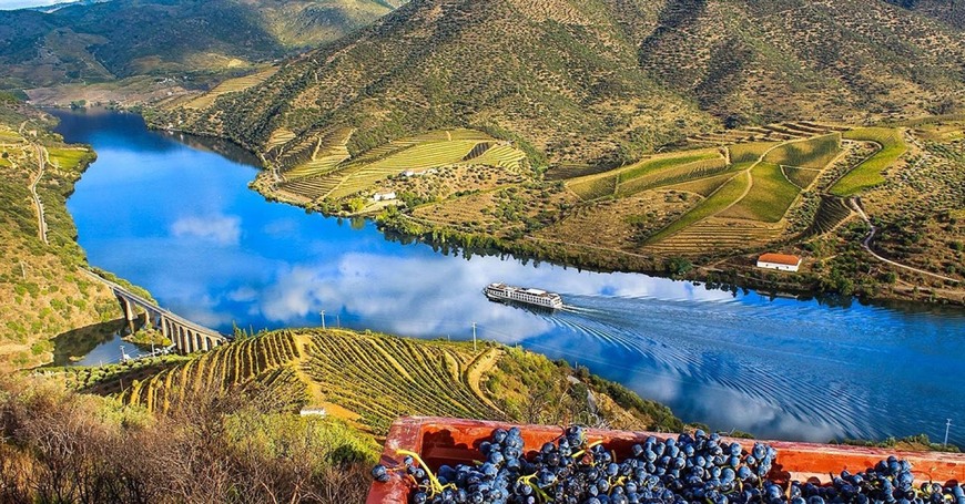 Lugar Alto Douro Wine Region (UNESCO)