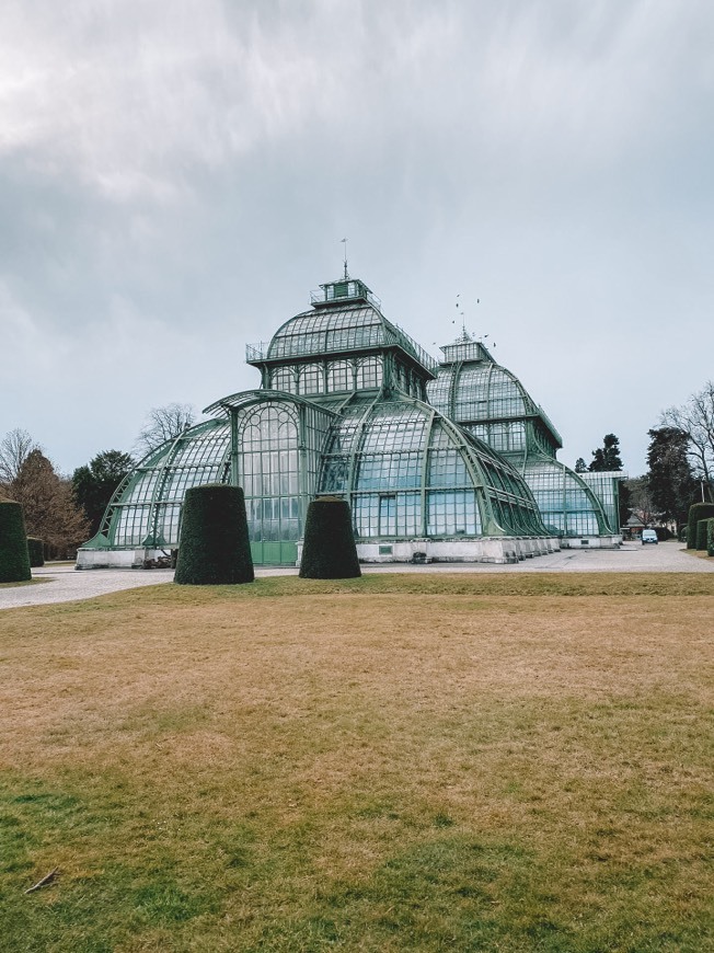 Restaurantes Palmenhaus