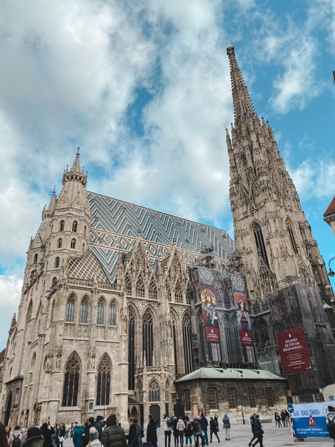 Lugar Catedral de Viena