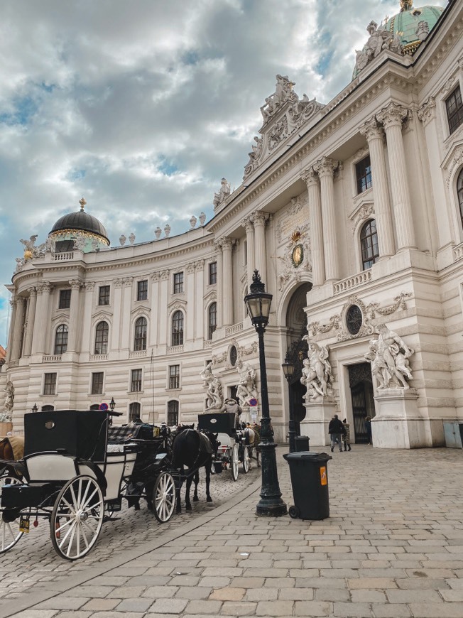 Lugar Hofburg Palace