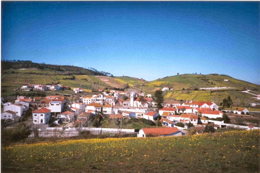 Lugar Freiria