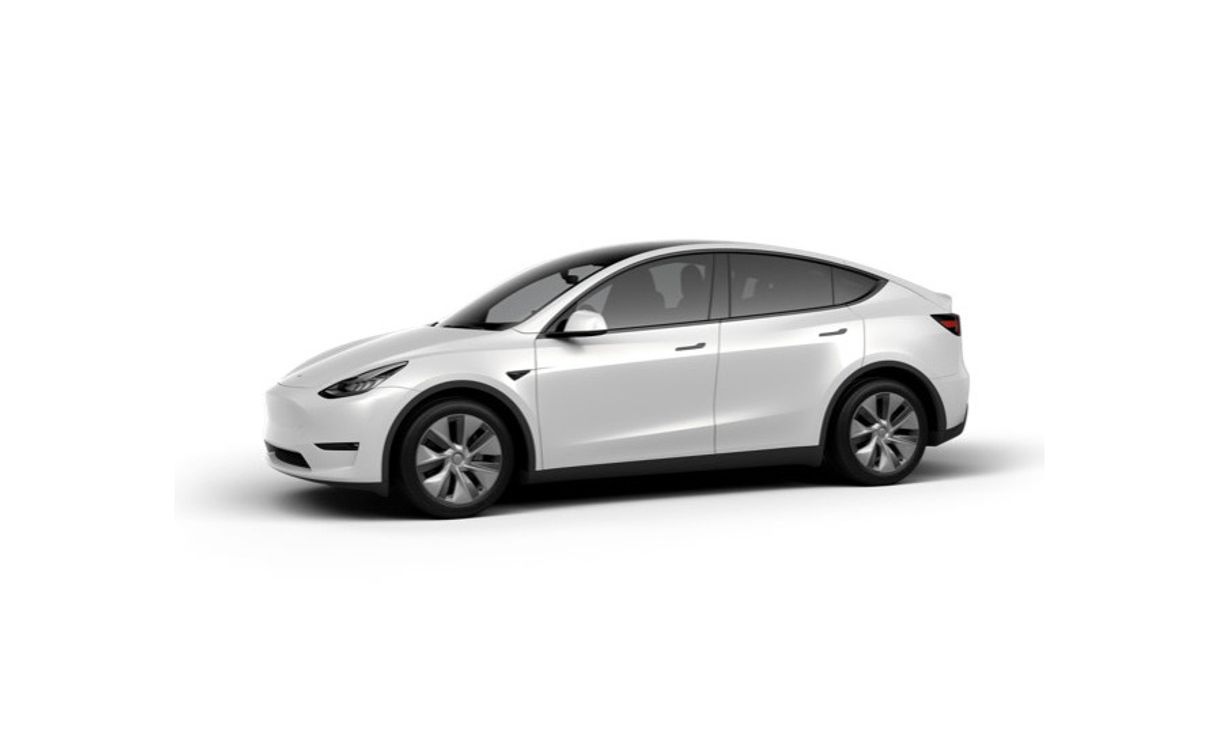 Social TESLA Model Y