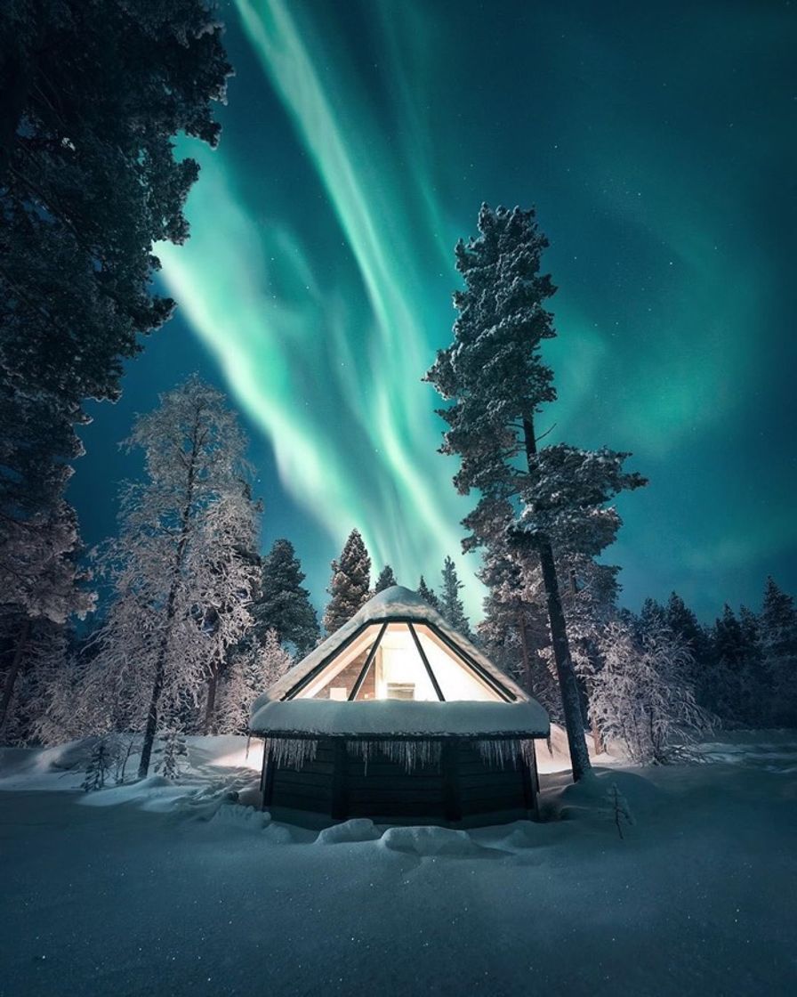 Fashion Home aurora boreal 😍