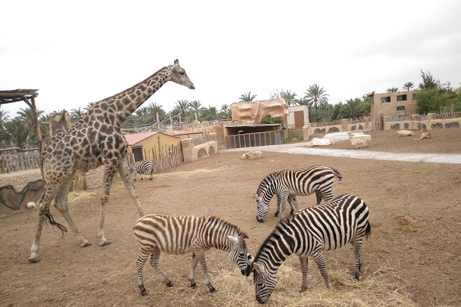 Place Rio Safari Elche