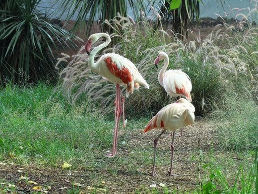 Parque Biológico de Gaia