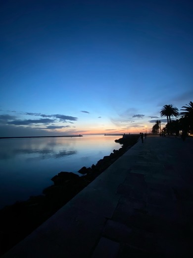 Jardim do Passeio Alegre