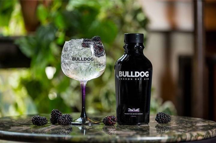 Producto Bulldog Gin