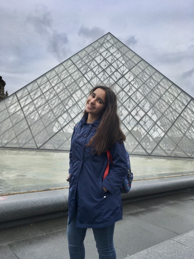 Lugar Museo del Louvre