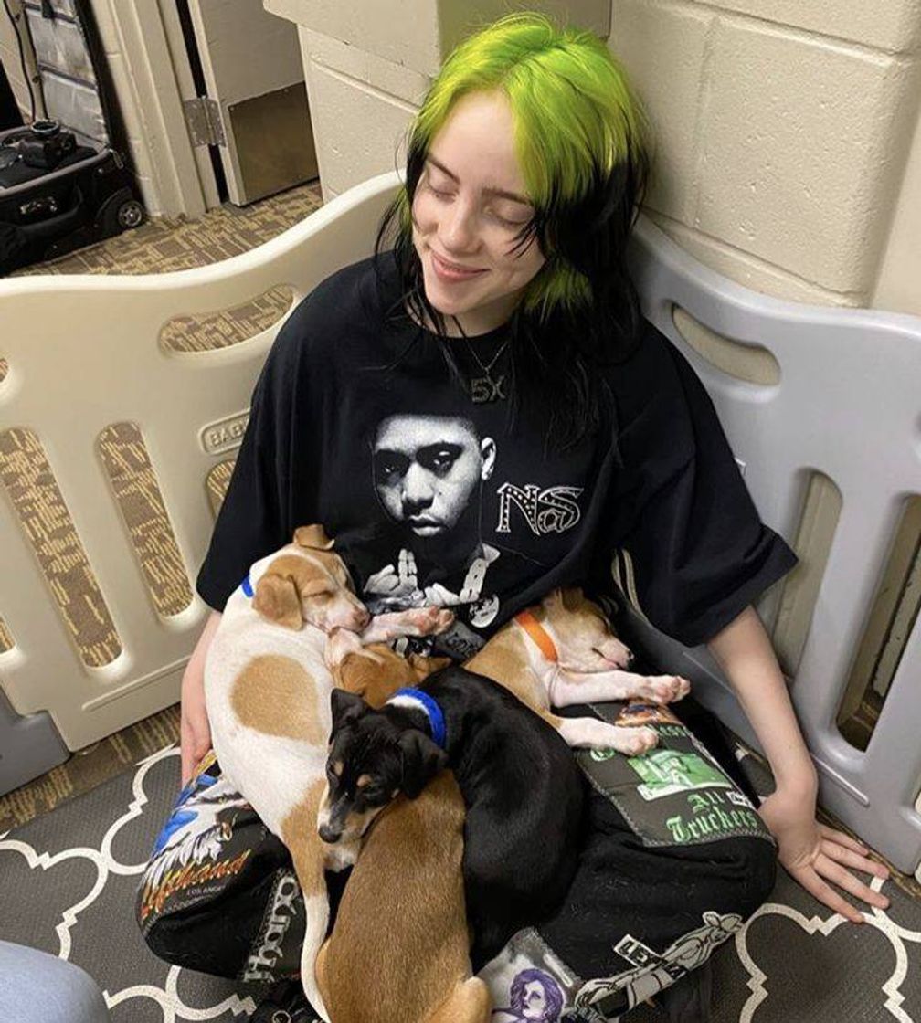 Fashion Billie Eilish and puppy