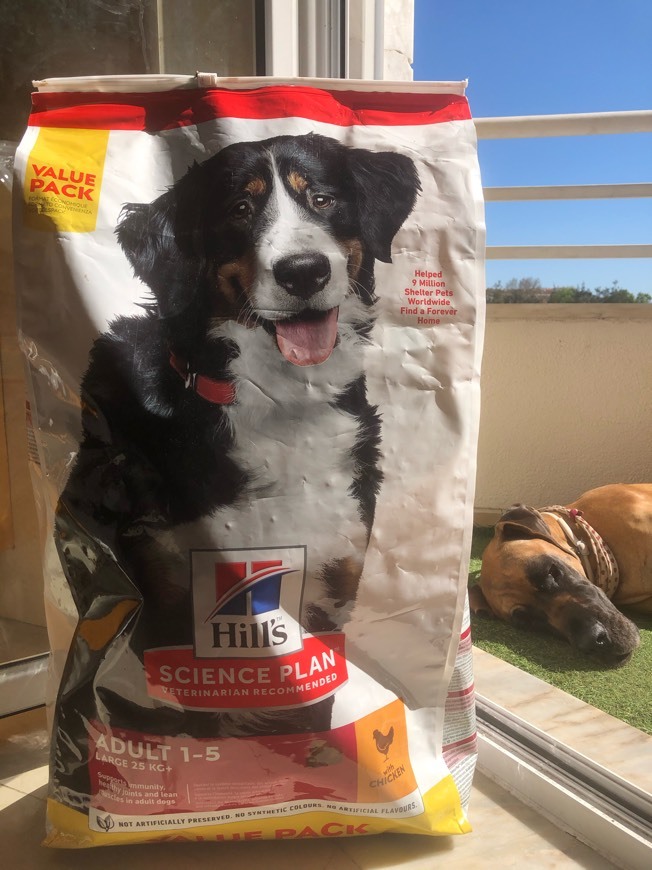 Hills adult large breed 