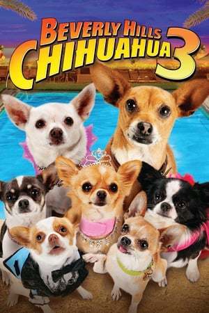 Película Un chihuahua en Beverly Hills 3: ¡Que viva la fiesta!