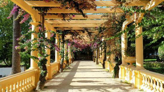 Place Parque Dom Pedro Infante - City Park