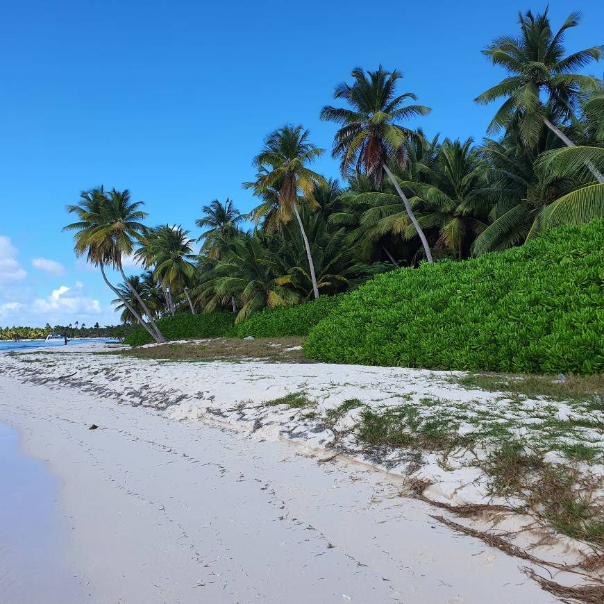 Lugar Punta Cana