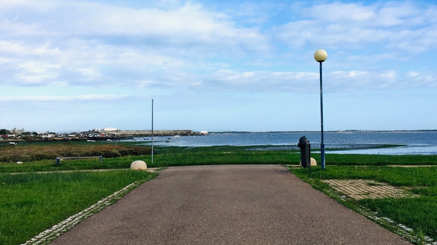 Lugar Municipal Park José Afonso