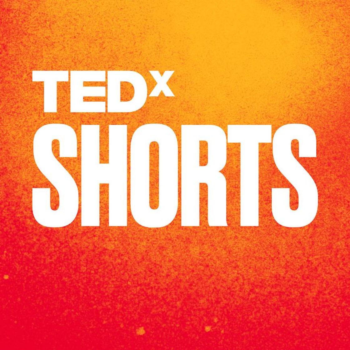 Fashion Tedx SHORTS