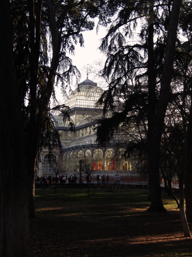 Place Palacio de Cristal