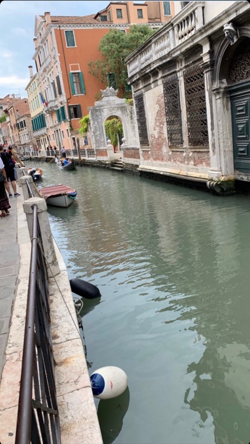 Lugar Gran Canal de Venecia