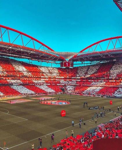 Estádio Sport Lisboa e Benfica