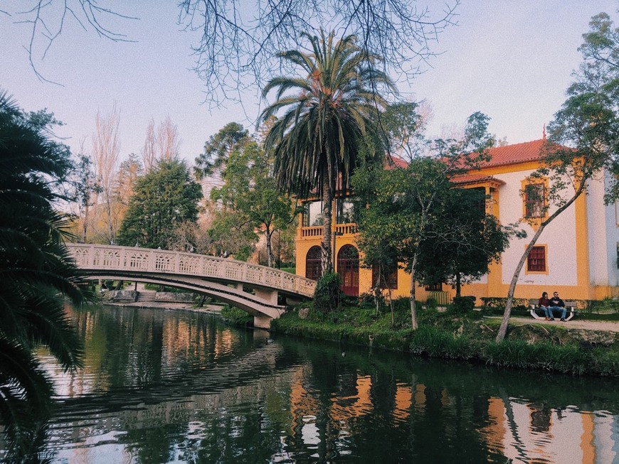 Lugar Parque da Macaca