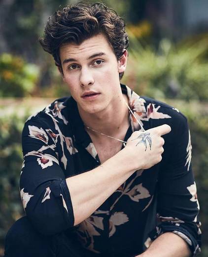 Shawn Mendes 