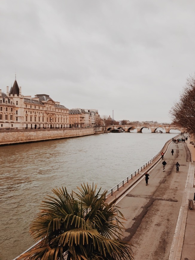 Place Río Sena