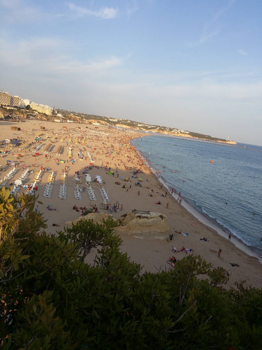 Place Praia da Rocha