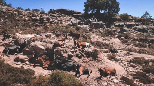 Gerês