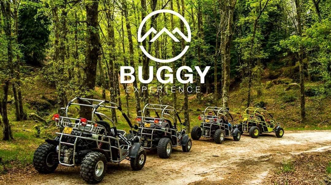 Social Buggyexperience